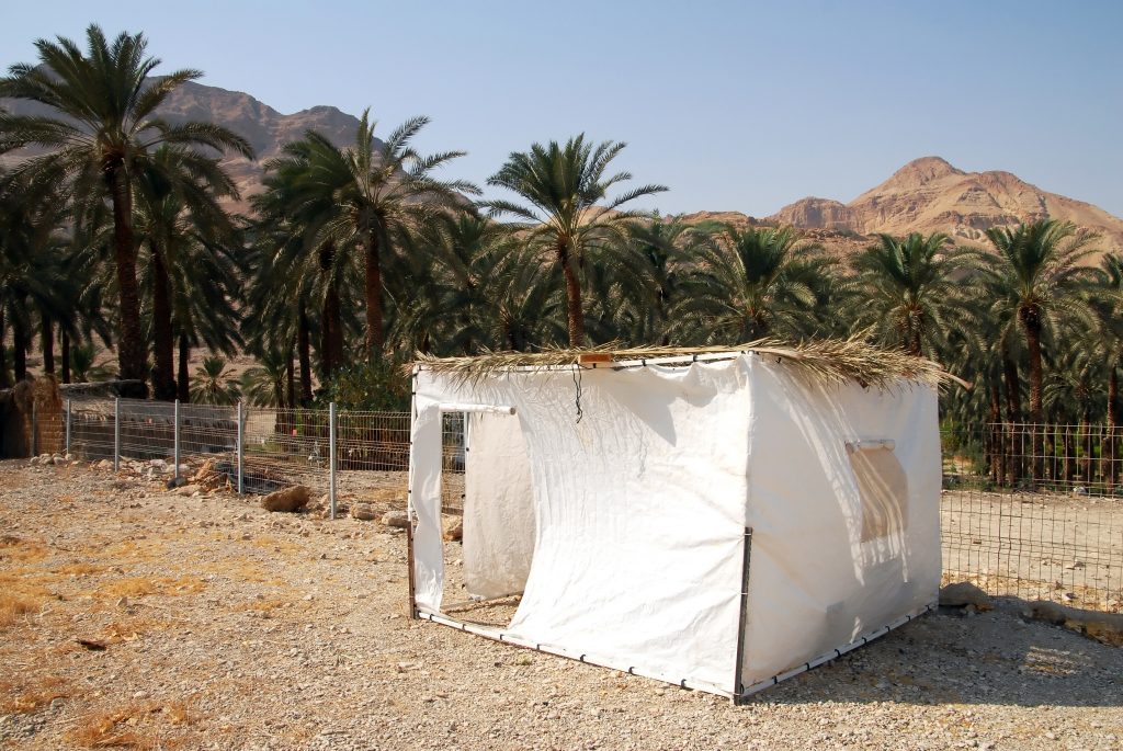 Sukkah in the Judean Wilderness