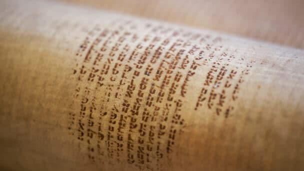 torah