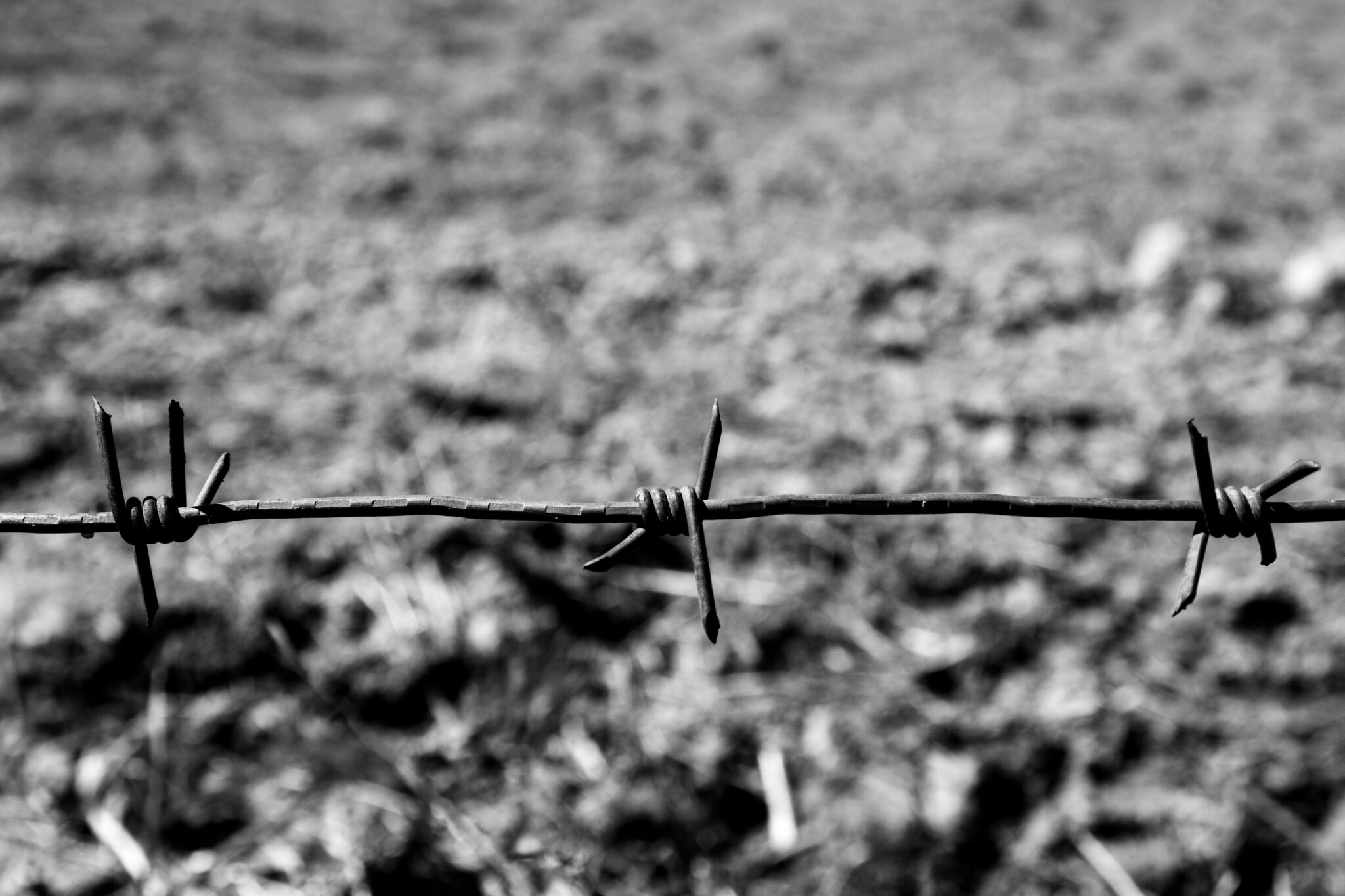 Barbed wire close-up, Holocaust Memorial Day