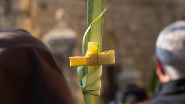 Palm Sunday, what does the Hebrew word Hosanna mean?