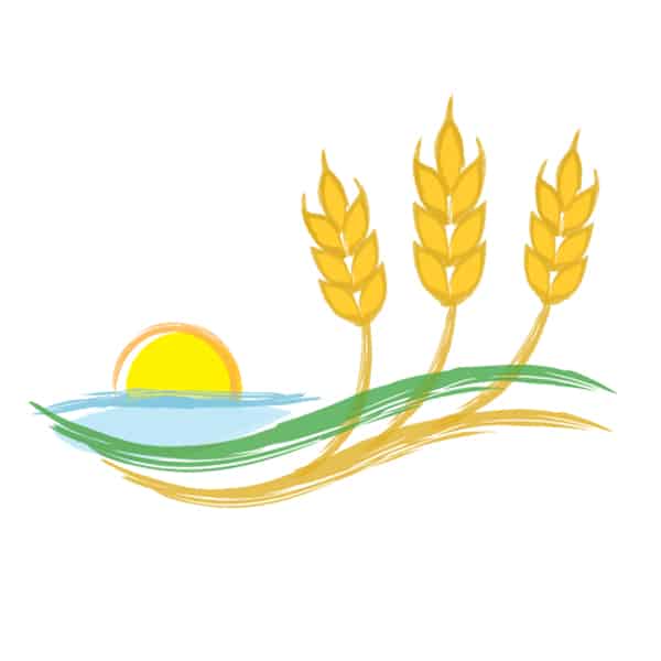 Fields of Wheat
