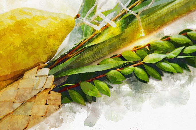 etrog and lulav, used on Sukkoth