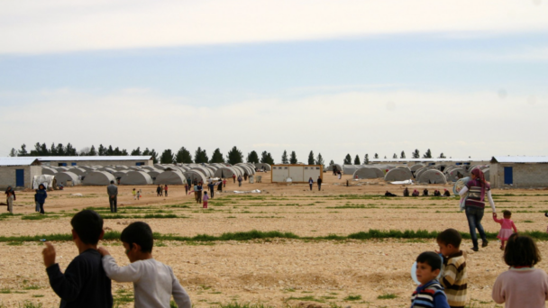 children playing in a field